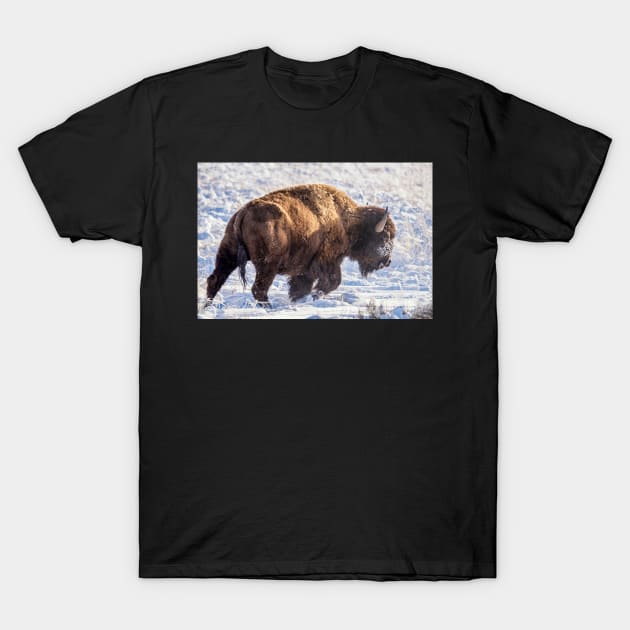 Fortitude - Bison in Snow T-Shirt by StacyWhite